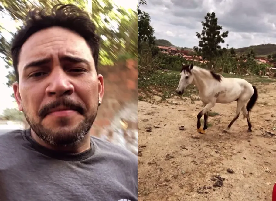 Cavalo percorre 20 km para voltar ao antigo dono após ser vendido no Ceará