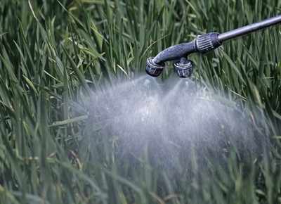 Bayer propõe acordo bilionário sobre glifosato para resolver queixas nos EUA