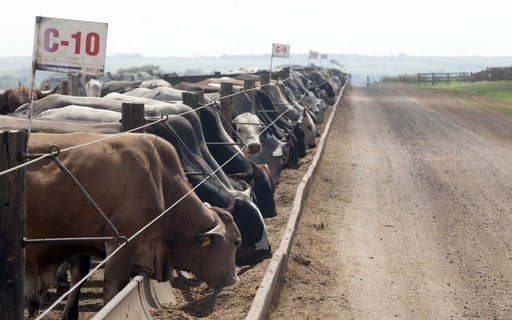 Área de nutrição e saúde animal da dsm-firmenich seguirá no Brasil após venda para CVC