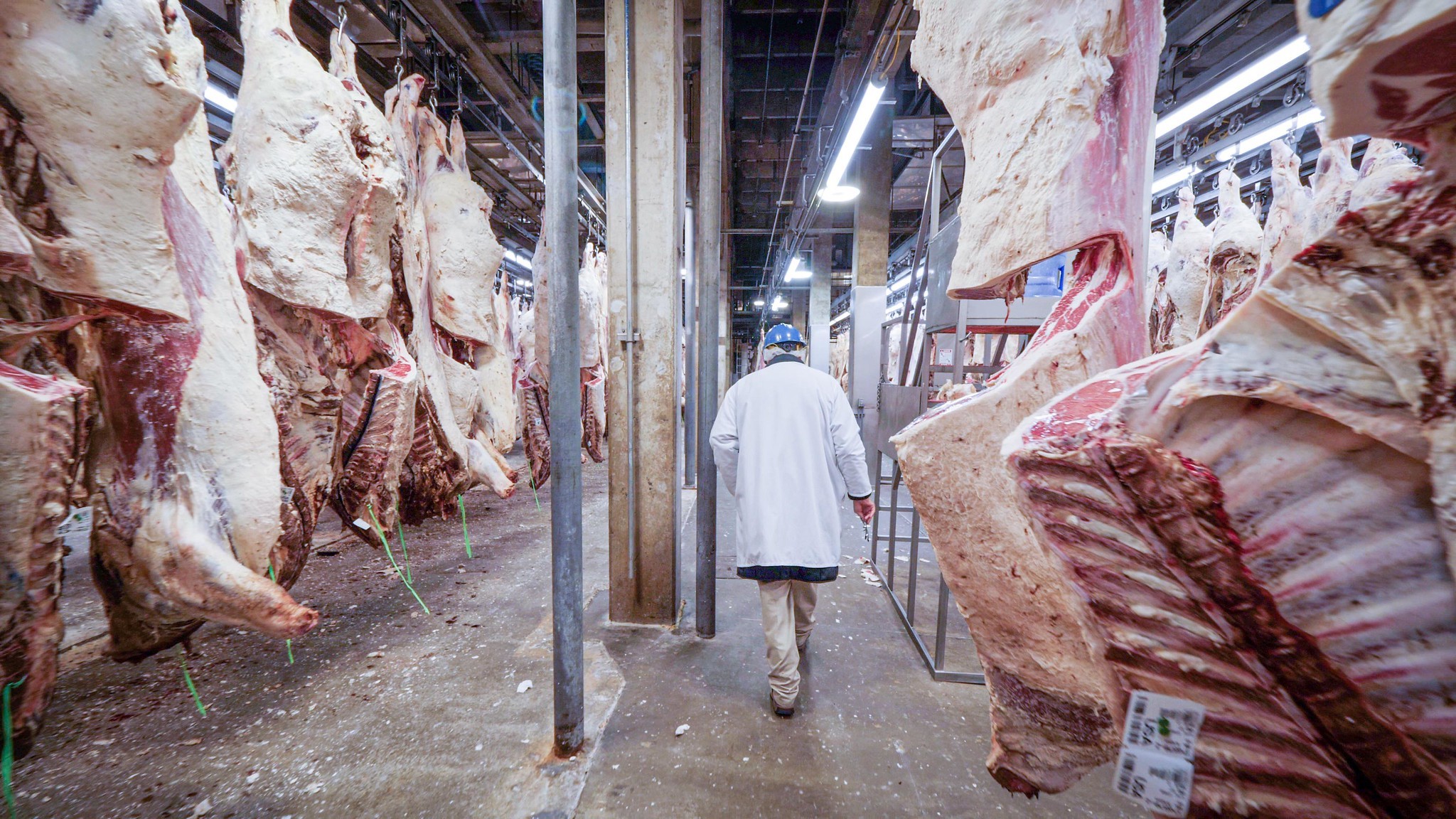 Com crise na oferta de gado, Cargill irá fechar indústria de carne nos EUA