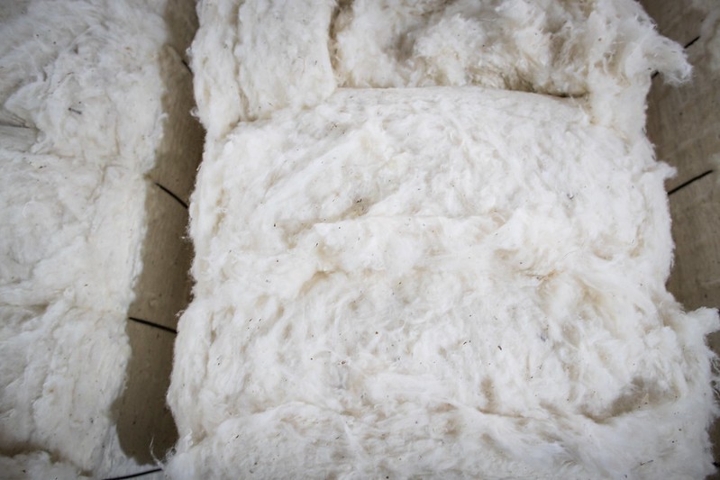 Exportações de algodão caíram em volume e receita em janeiro