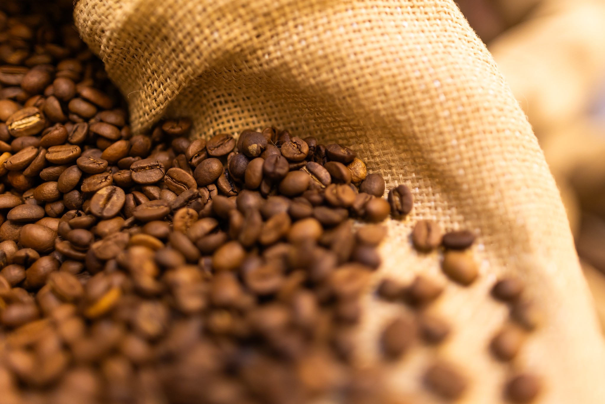 Projeções de safra de café no Brasil derrubam preços em NY