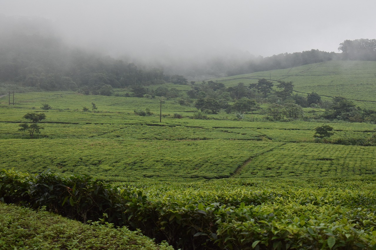 Chuva forte e calor excessivo predominam em grande parte do Brasil