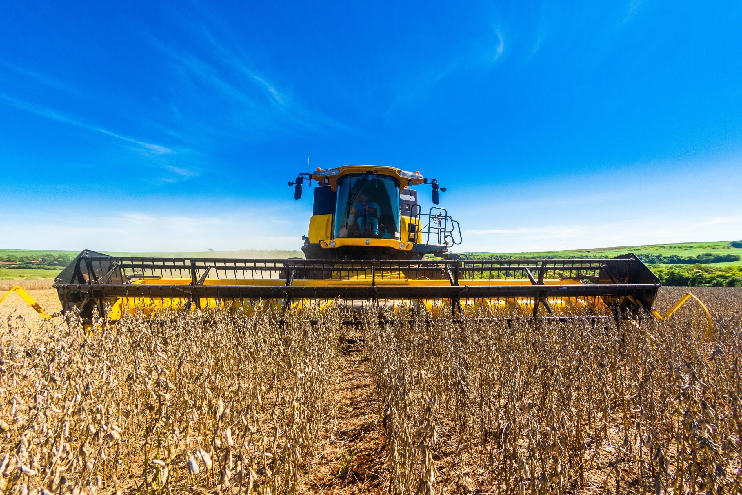 Preço da soja volta a perder força no Brasil