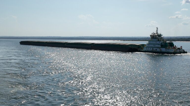 Como um decreto sobre hidrovias colocou indígenas, governo e agro em lados opostos. Entenda