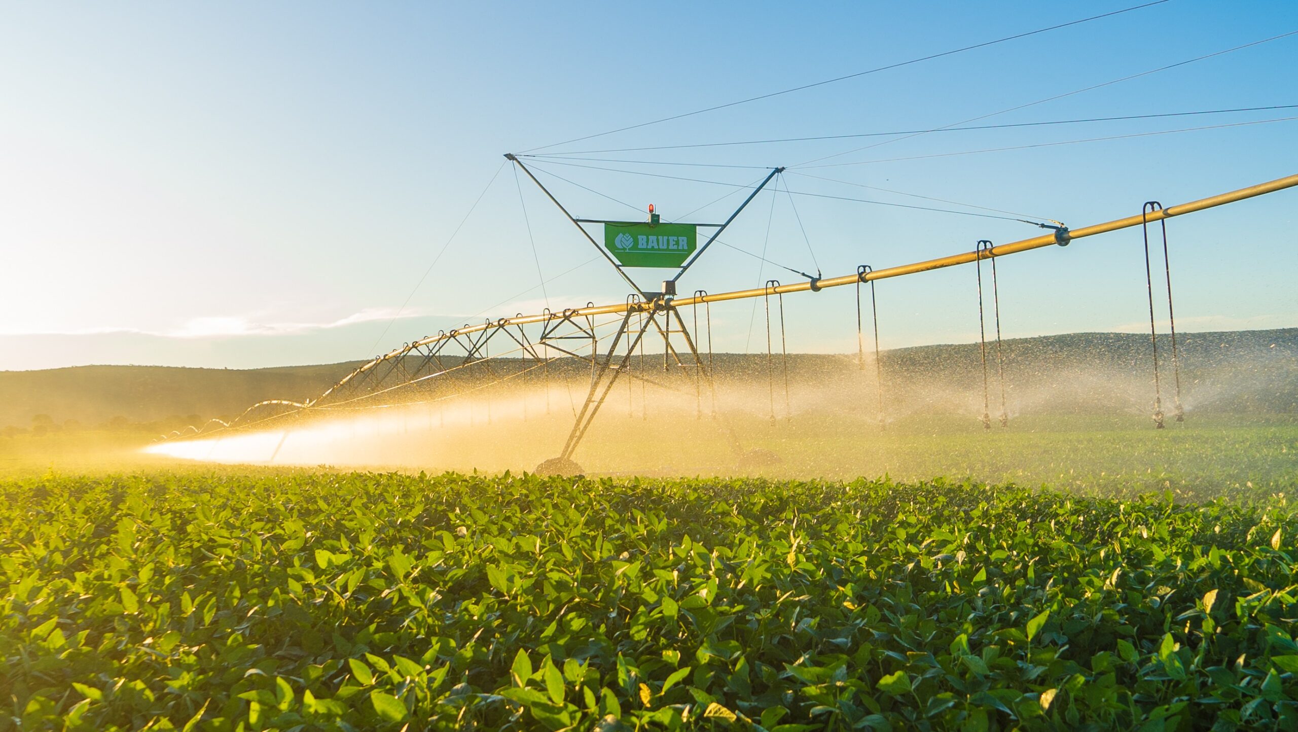 Bauer espera dobrar vendas na Argentina em 2026 e ampliar atuação na América Latina