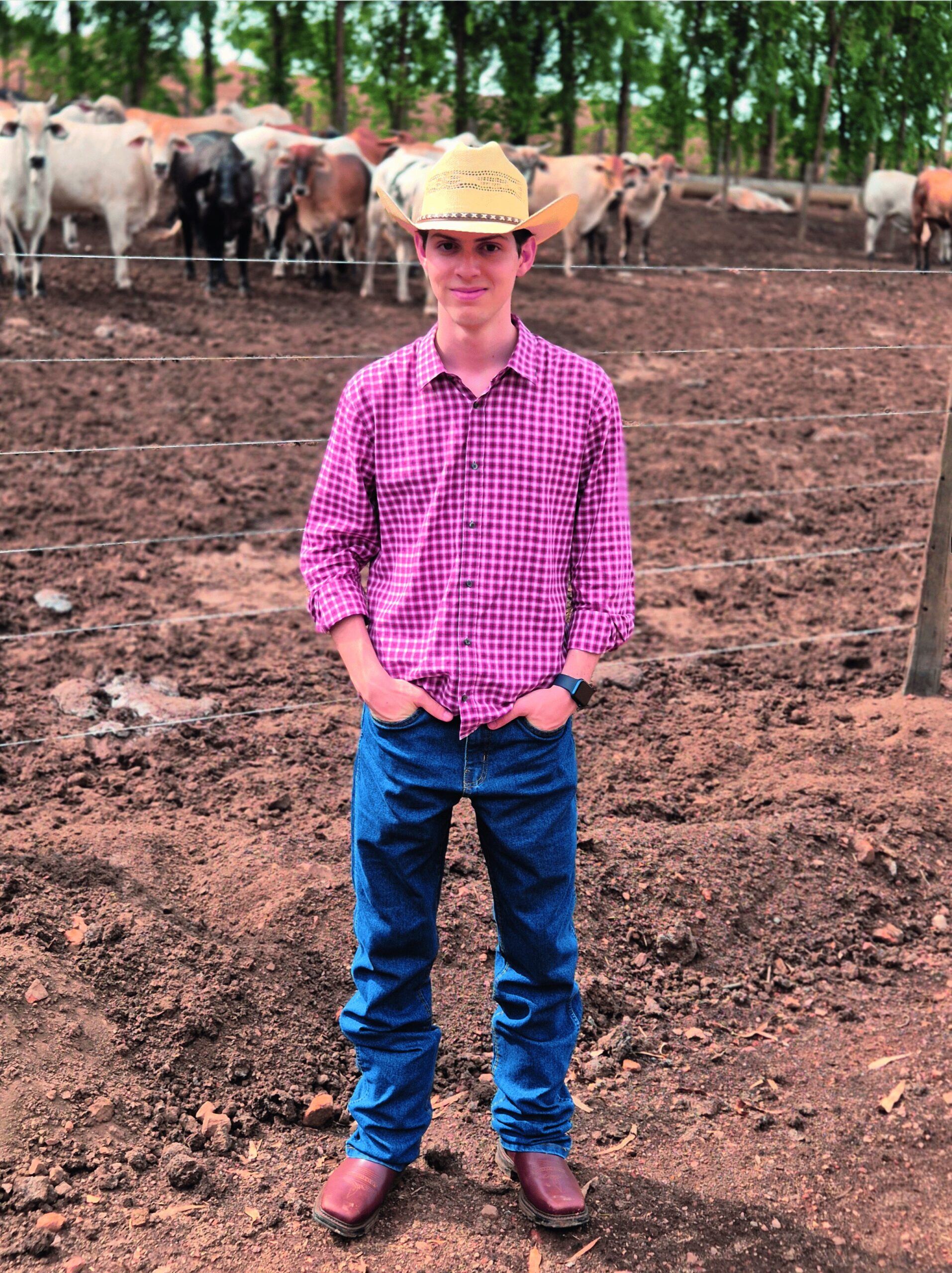 Demanda por rastreabilidade bovina motiva jovem a criar startup