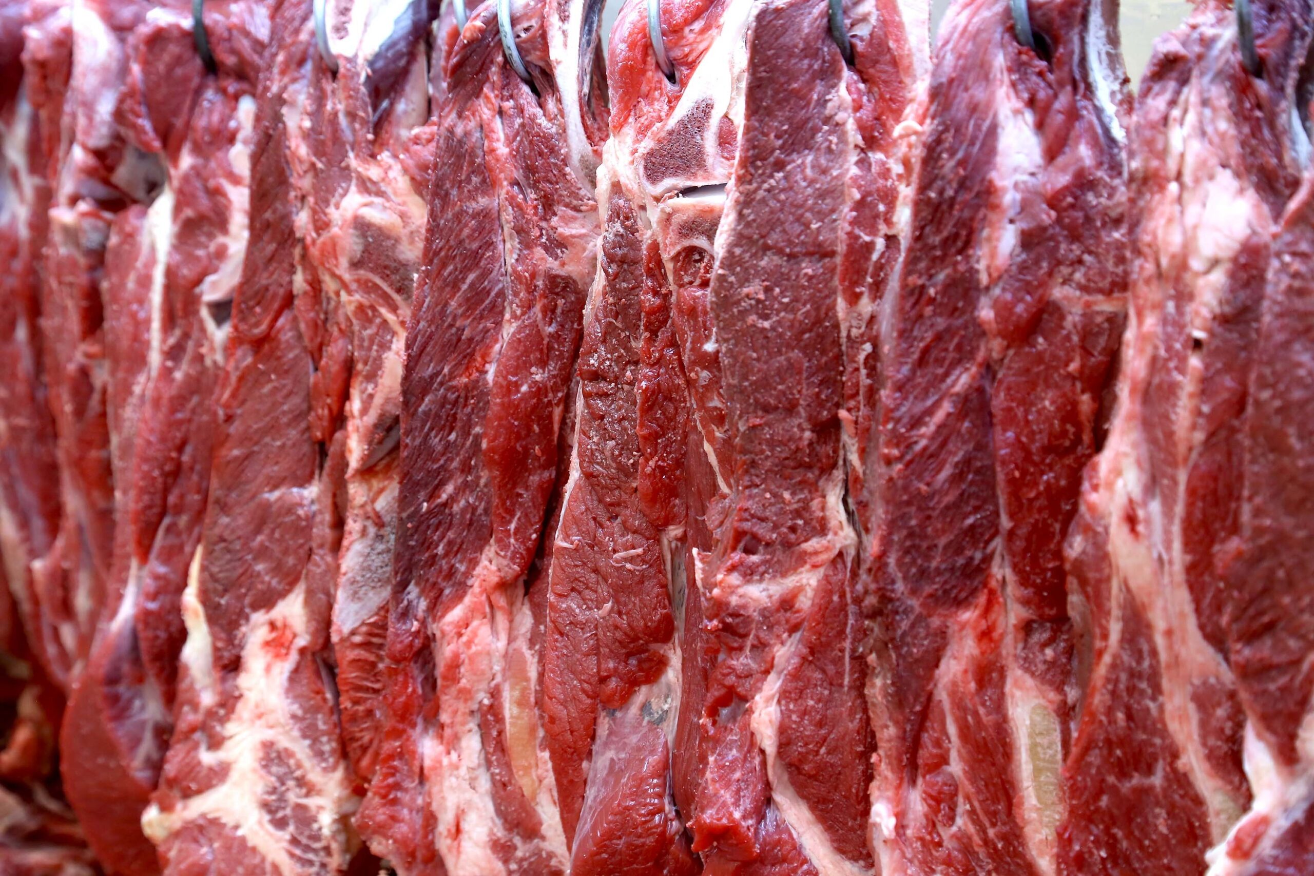 Governo propõe distribuição de cota e limites trimestrais de exportação de carne bovina à China