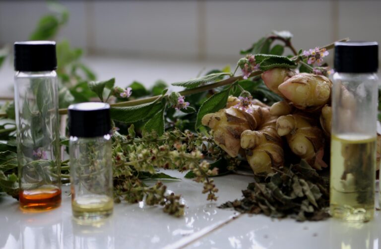 Novo marco dos fitoterápicos abre caminho para destravar mercado bilionário no Brasil