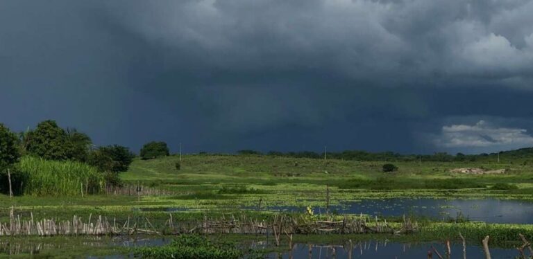 Ceará registra mais de 80 municípios com chuvas nas últimas 24 horas; confira os destaques
