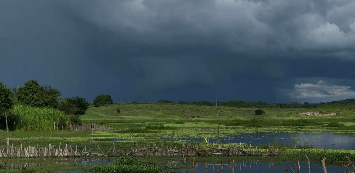 Ceará registra mais de 80 municípios com chuvas nas últimas 24 horas; confira os destaques