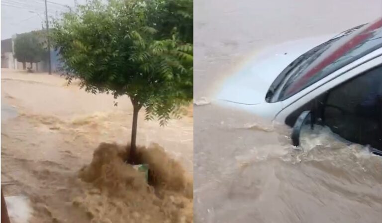 Chuva em Juazeiro do Norte, no Ceará, deixa ruas alagadas e gera forte correnteza; confira os vídeos