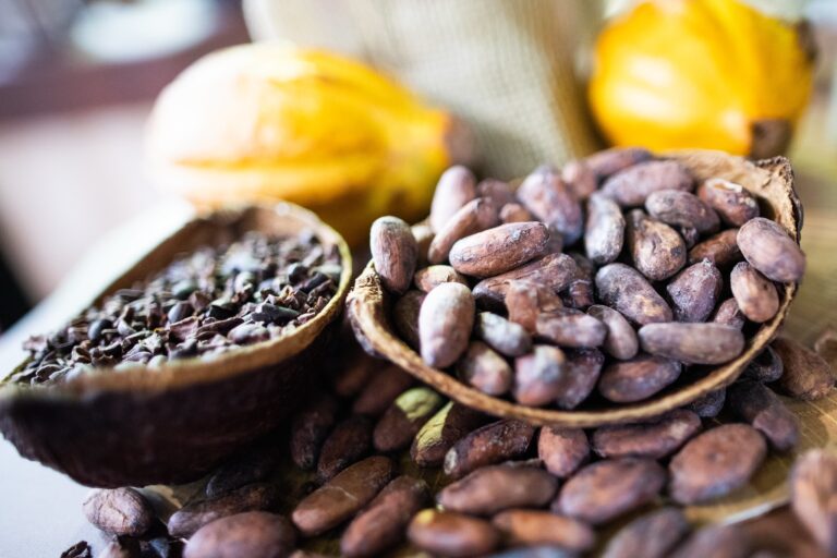 Brasil pede garantias da rastreabilidade do cacau à Costa do Marfim