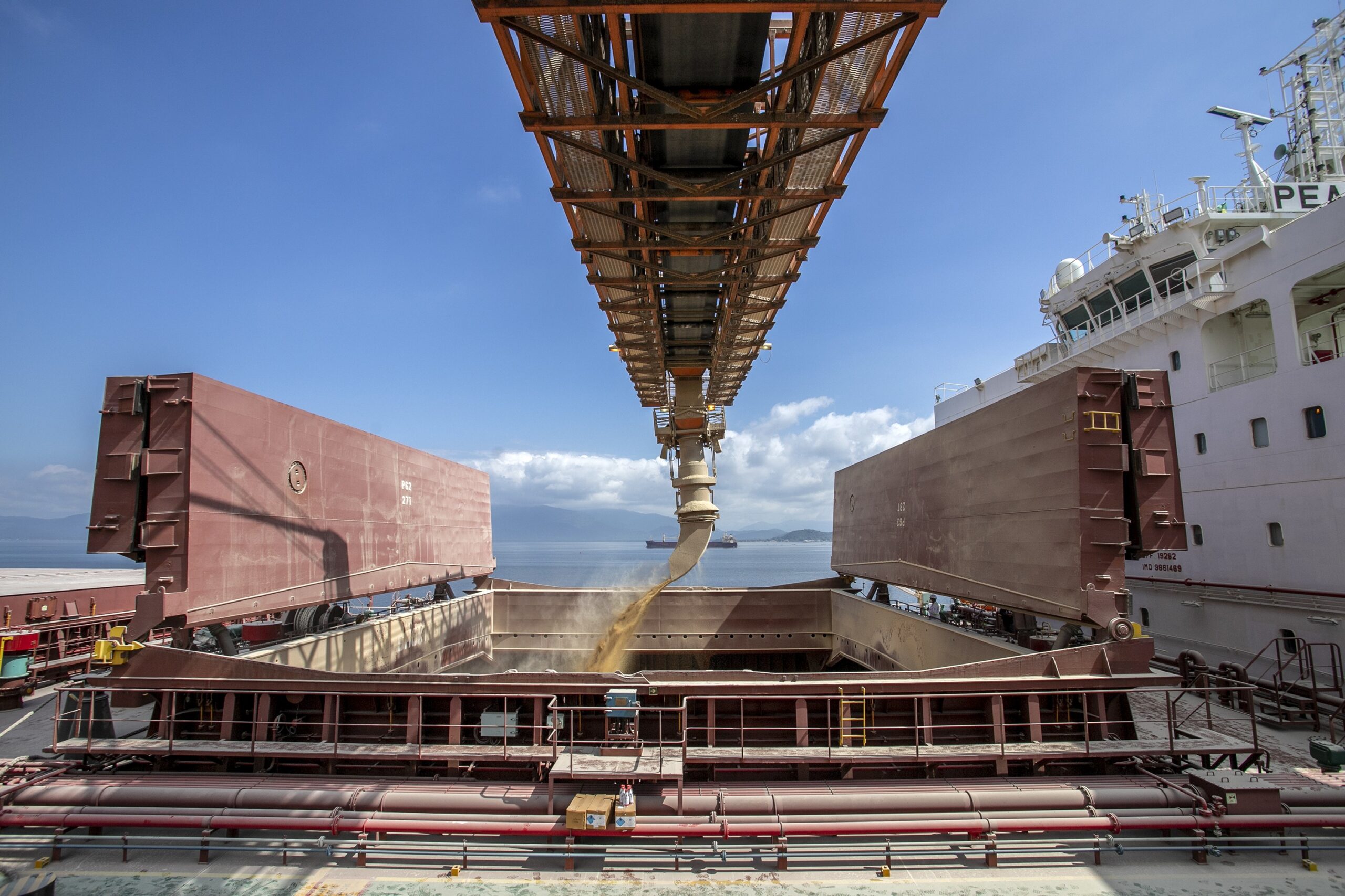 Brasil tem hoje dez navios programados para carregar soja e farelo destinados ao Irã