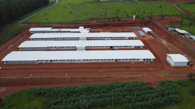 Empresa investe R$ 60 milhões em genética avícola em Goiás