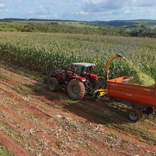 Governo deve se reunir este mês com empresários do agro para discutir Plano Safra 2025/2026