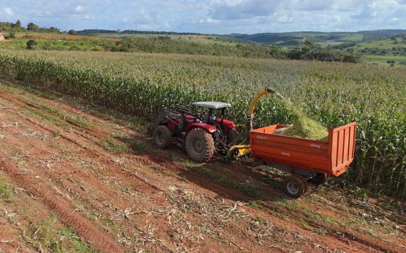 Governo deve se reunir este mês com empresários do agro para discutir Plano Safra 2025/2026