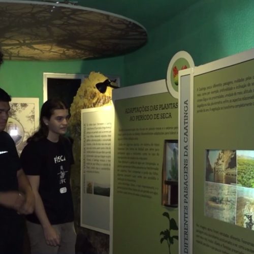 Exposição em Fortaleza mostra a “verdadeira Caatinga”, para além dos estereótipos