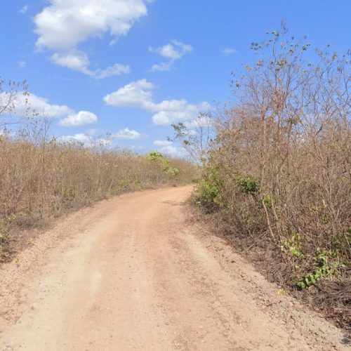 Homem é condenado a 12 anos de prisão por matar idosa em emboscada, em Marco/CE