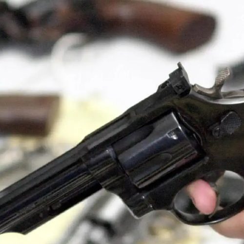 Deputados analisam projeto que reduz idade mínima para ter arma para 18 anos