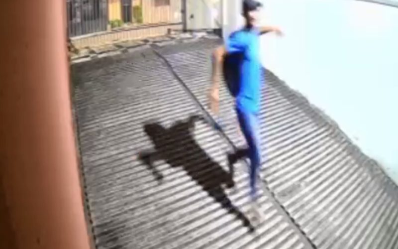 Criminosos invadem condomínio e furtam bicicletas na área nobre de Fortaleza; veja o vídeo