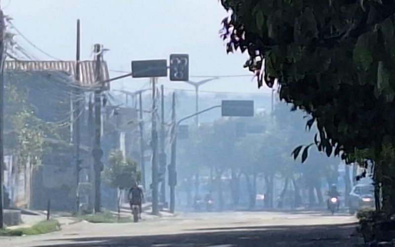 Incêndio é registrado em área de vegetação na Avenida Osório de Paiva, em Fortaleza