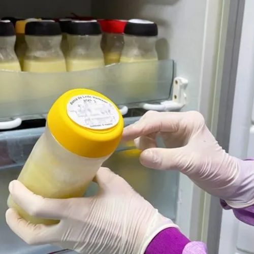 Após incêndio, Hospital César Cals recebe doações de leite materno de forma remota; saiba como