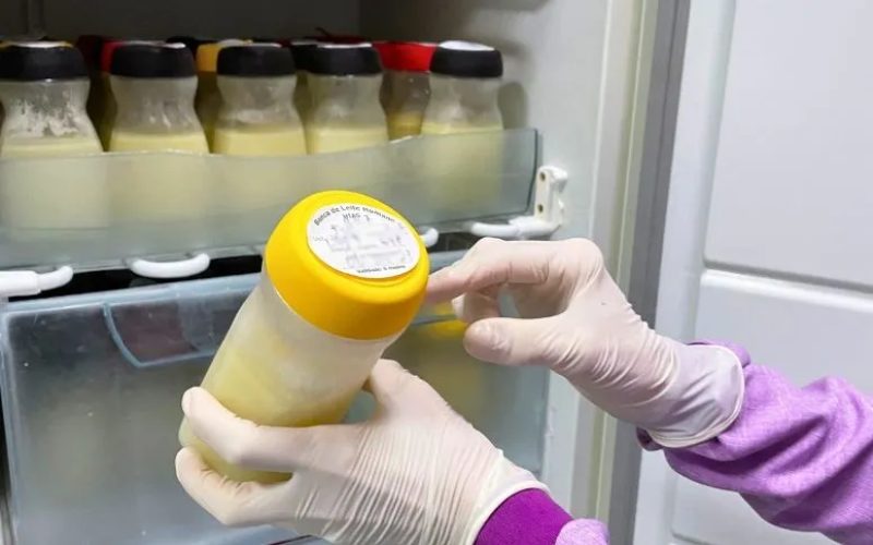 Após incêndio, Hospital César Cals recebe doações de leite materno de forma remota; saiba como