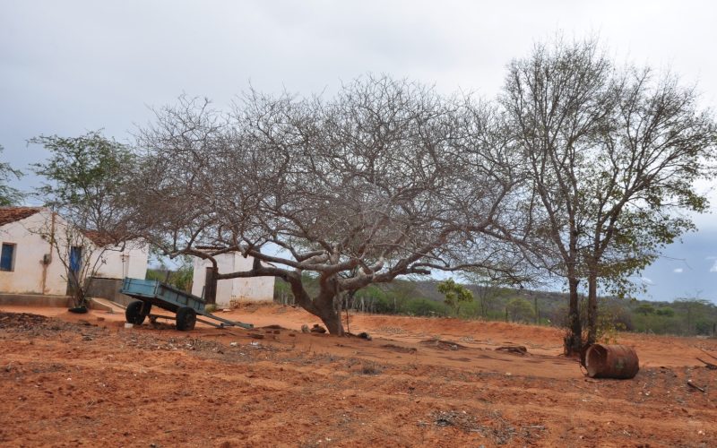 Monitor de Secas: Ceará registra maior índice de seca grave em quase seis anos