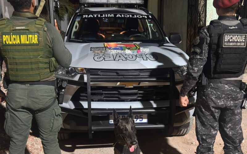 Cães farejadores da Polícia Militar localizam drogas escondidas à margem de córrego em Fortaleza