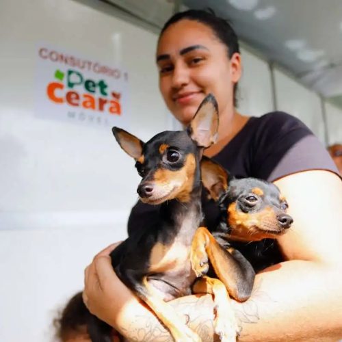 Elmano sanciona lei que institui dia para celebrar a amizade entre animais de estimação e tutores no Ceará