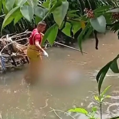 Cabeça, perna e braço são localizados um dia após tronco desmembrado ser encontrado em rio