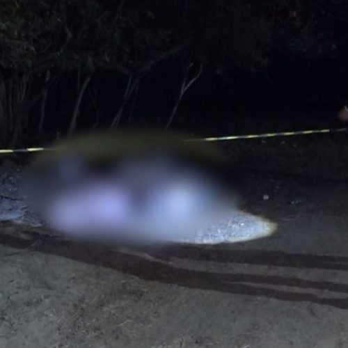 Vaqueiro é morto a tiros ao sair de pega de boi em comunidade de Guaiúba, no Ceará