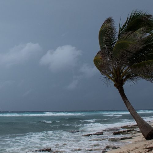 Ceará tem 44 cidades sob aviso de “perigo potencial” por ventos costeiros e baixa umidade