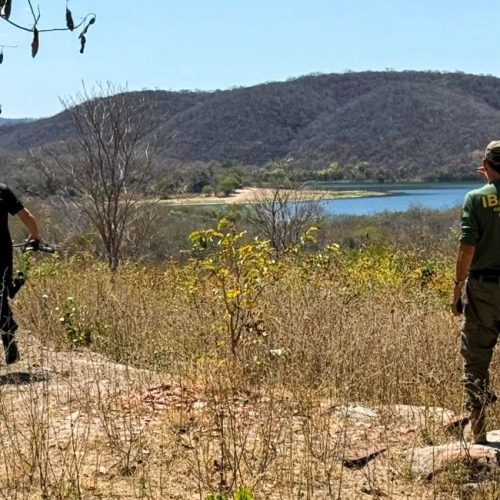 Operação da PF combate desmatamentos ilegais em unidades de conservação do Ceará