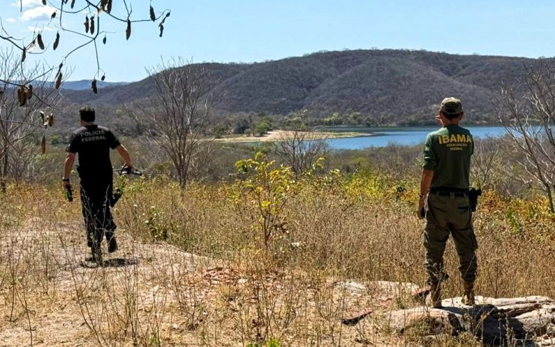 Operação da PF combate desmatamentos ilegais em unidades de conservação do Ceará
