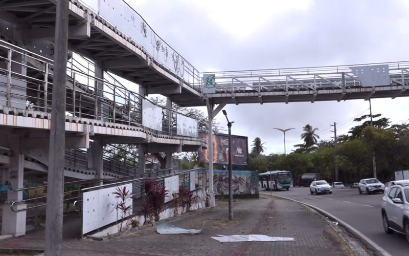 Moradores denunciam infestação de marimbondos em passarela de Fortaleza