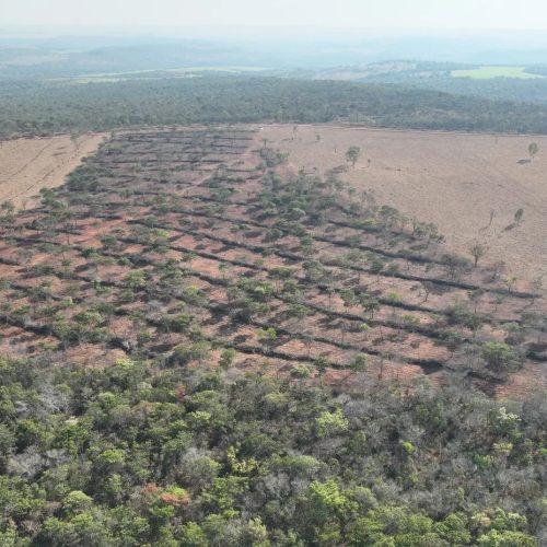 STF determina que terras alvo de incêndios criminosos e desmatamento ilegal sejam desapropriadas
