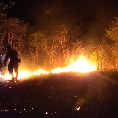 Tecnologia criada no IFCE pode ajudar na prevenção de incêndios em vegetação