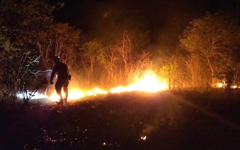Tecnologia criada no IFCE pode ajudar na prevenção de incêndios em vegetação