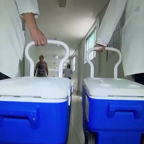 Transplantes de rim e fígado estão entre os mais realizados no Brasil e no mundo