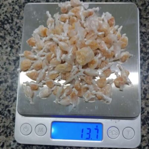 Duas integrantes de facção criminosa são presas com drogas em Tauá, no interior do Ceará