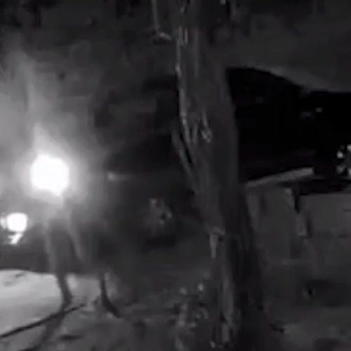 Criminosos encapuzados invadem casa, rendem família e roubam Hilux em Aquiraz, no Ceará