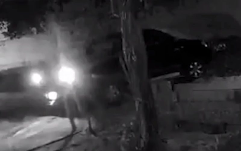 Criminosos encapuzados invadem casa, rendem família e roubam Hilux em Aquiraz, no Ceará