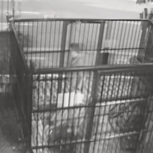 Vídeo flagra cliente agredindo entregador em condomínio na área nobre de Fortaleza