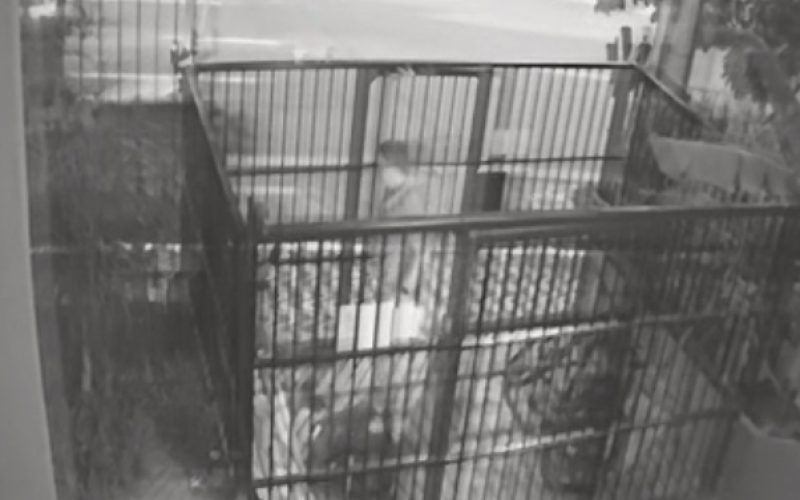 Vídeo flagra cliente agredindo entregador em condomínio na área nobre de Fortaleza