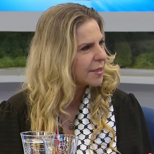 Acordo dos EUA é frágil porque querem “colonizar a Palestina”, diz Luizianne Lins