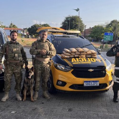 “Supermaconha”: homem é preso ao trafegar com 37 tabletes de skunk em Paracuru, no Ceará