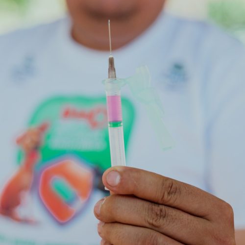 Vacinação contra a raiva para cães e gatos em Fortaleza terá 2º Dia D neste sábado (8); confira os locais