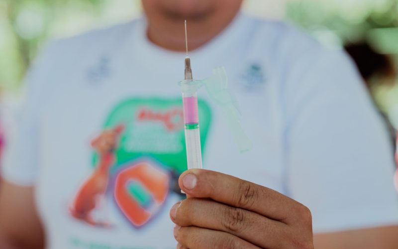 Vacinação contra a raiva para cães e gatos em Fortaleza terá 2º Dia D neste sábado (8); confira os locais